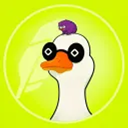DUCKI
