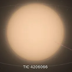 TIC4206066