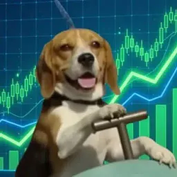 DOGE