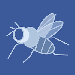 Flybook