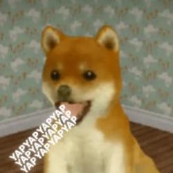 YAPYAPYAP