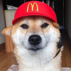 Sell Inu