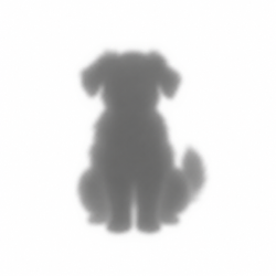 nodog