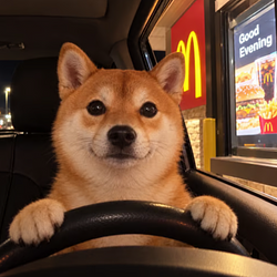 DRIVE INU