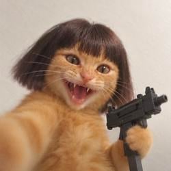 LILUZICAT