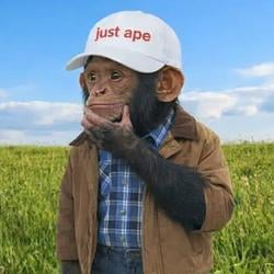APE / SOL