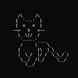 CATBOT / SOL