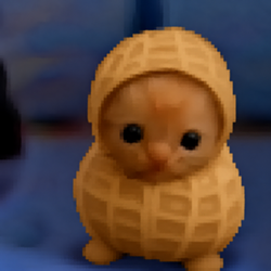 nut / SOL
