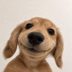 Joe