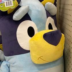 BLUEY / SOL