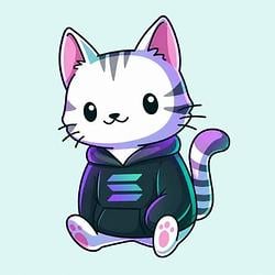 PURR / SOL