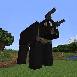 BlackBull