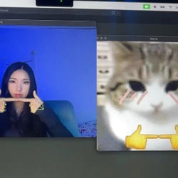 catcam