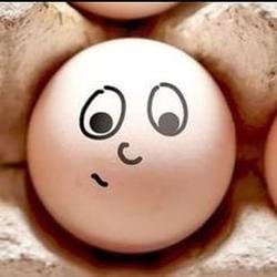 THINGEGG / SOL