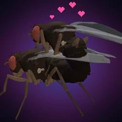 SEXFLY