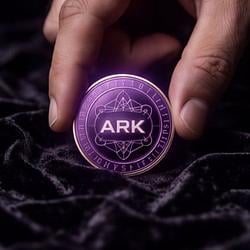 Ark369 / SOL