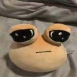 Pou