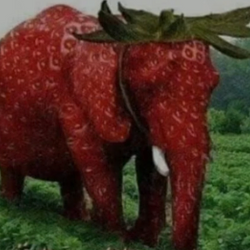 STRAWLE