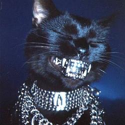 BLACKCATE