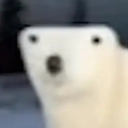 ber