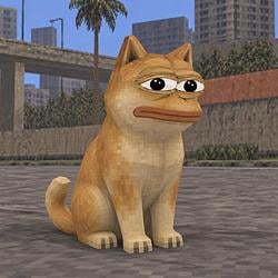 Cat Pepe