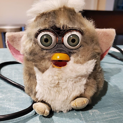 Furb