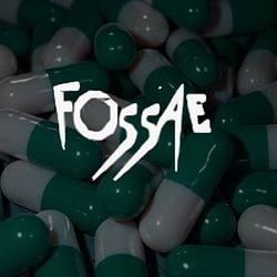 FOSSAE