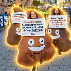 POO