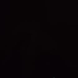 .. / SOL