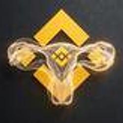 BSC / BNB