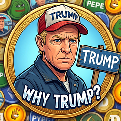 TRUMP / SOL