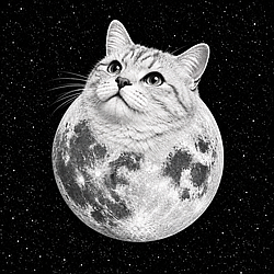 LCAT / SOL