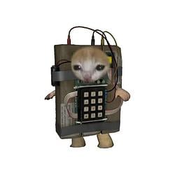 C⁴CAT