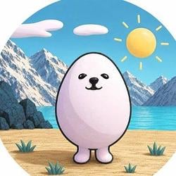 eggdog / SOL