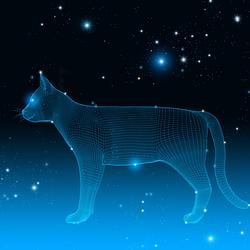 STARS / SOL