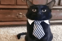 SIRCAT