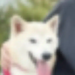 PUMPCHAN