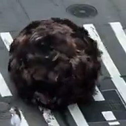 TUMBLEHAIR