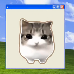 WCat
