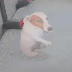 NEWGUY