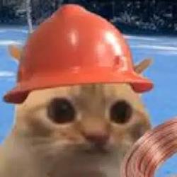 SAFETYCAT
