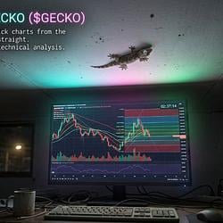 $GECKO