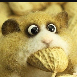 NUT
