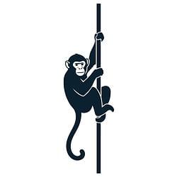 Monkey / SOL