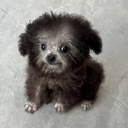 deg
