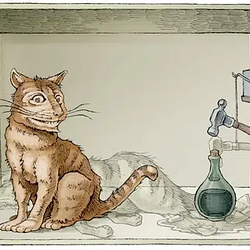 SQCAT