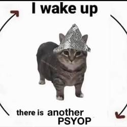 PSYCAT
