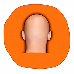BALD