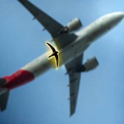 FLYING