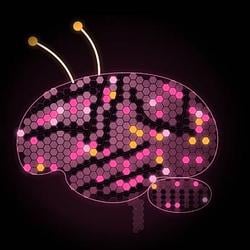 Beebrain